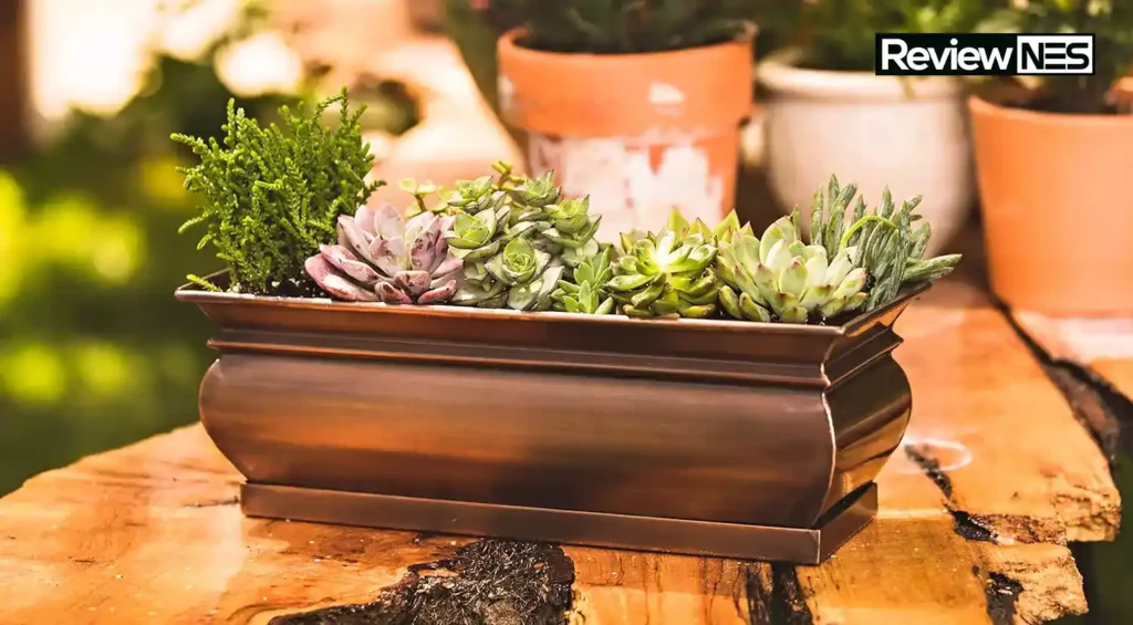 Top Window Planter Box Selection