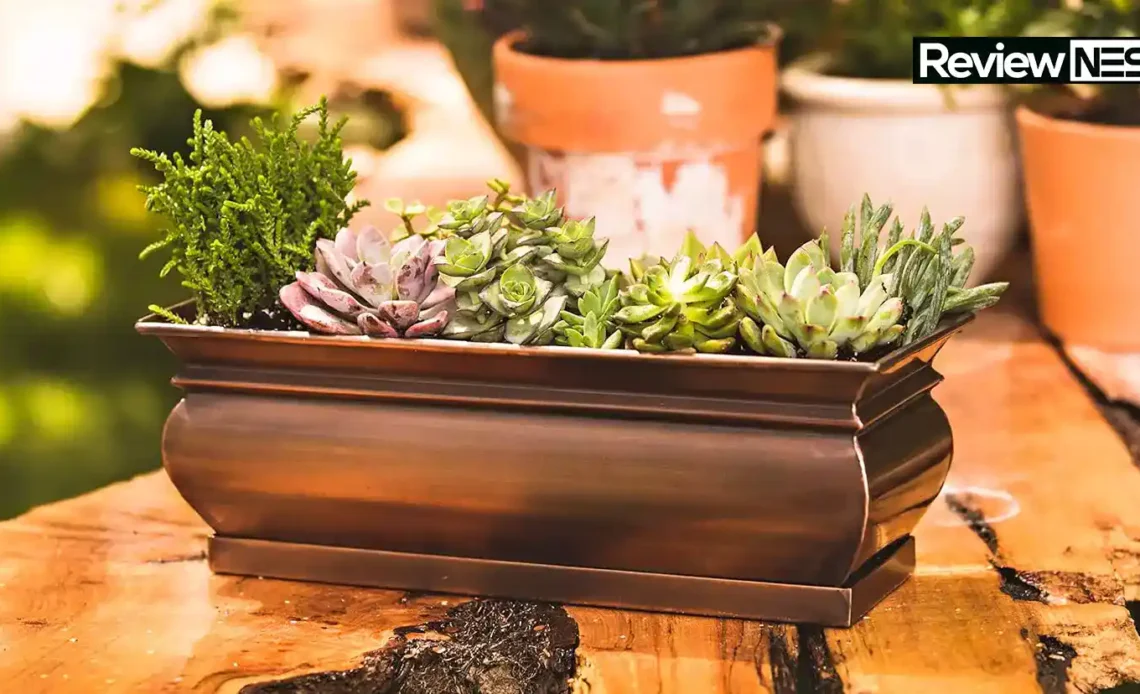 Top Window Planter Box Selection